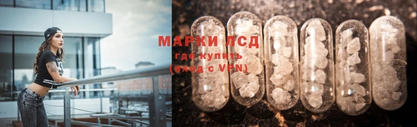 прущие грибы Кукмор