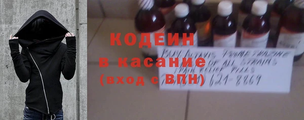 прущие грибы Кукмор
