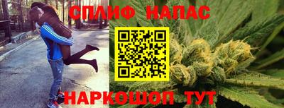 гидропоника Гусев