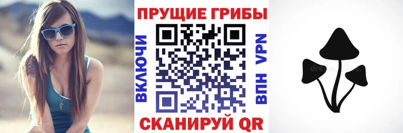 Псилоцибиновые грибы прущие грибы  магазин продажи   Североуральск 