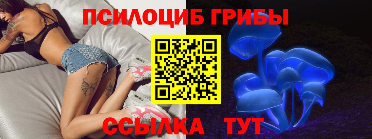 Псилоцибиновые грибы GOLDEN TEACHER  Североуральск 